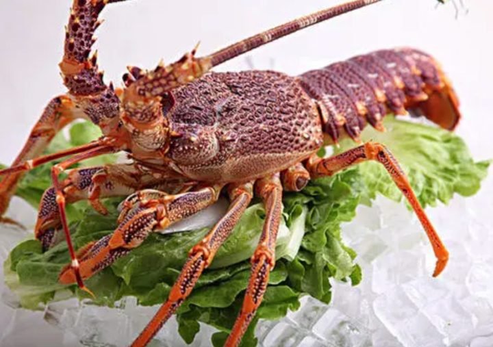 Langosta salteada del chef